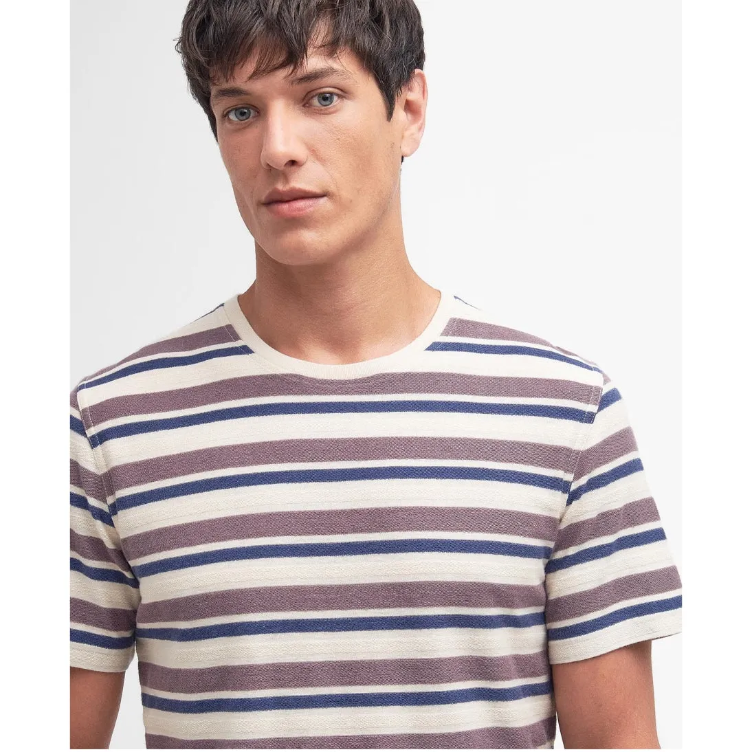 Barbour Whitwell Striped Tailored Fit T-Shirt MTS1270PU79 Purple Slate