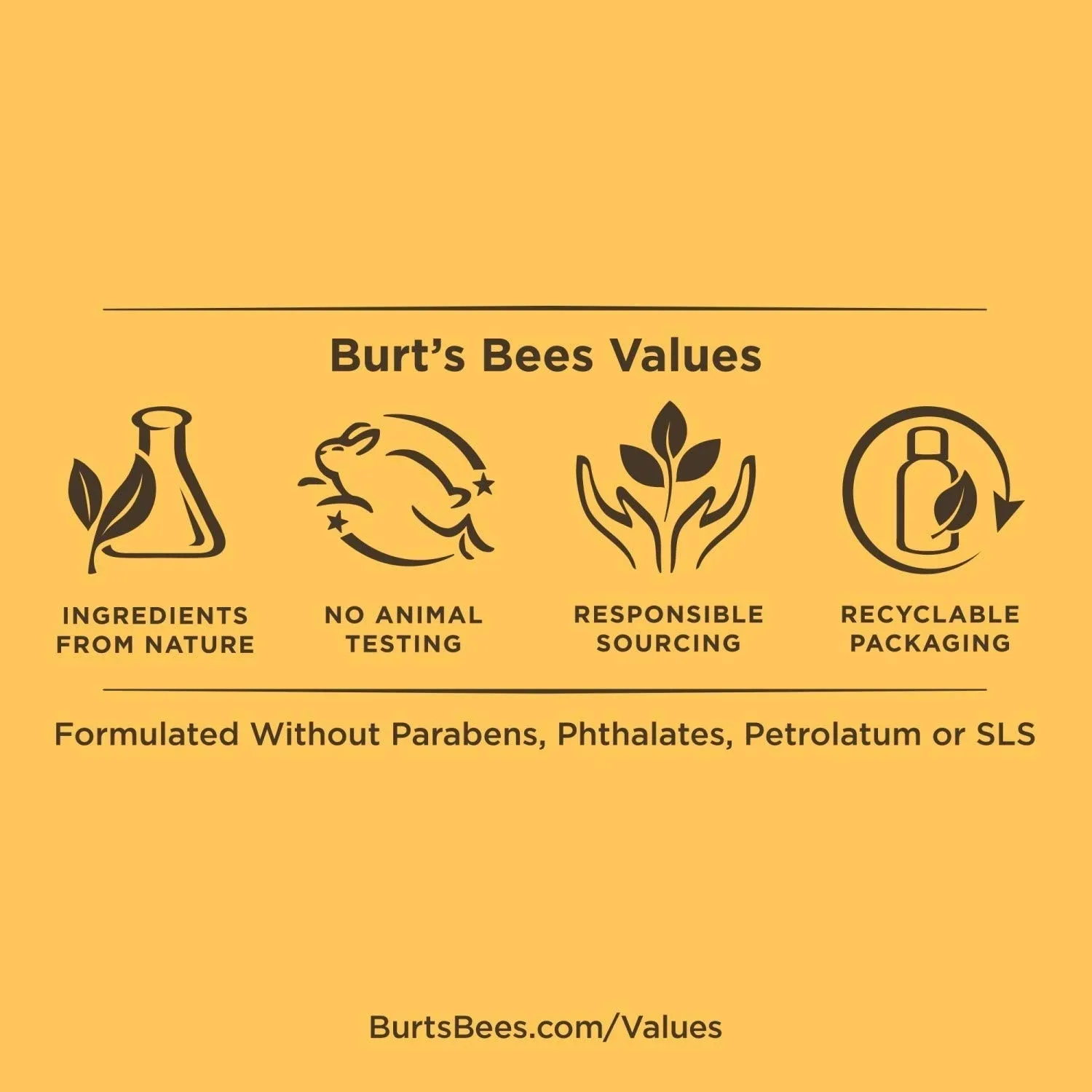 Burt's Bees 100% Natural Origin Squeezy Tinted Lip Balm, Berry Sorbet, 0.43 Ounce Squeeze Tube (Pack of 3)