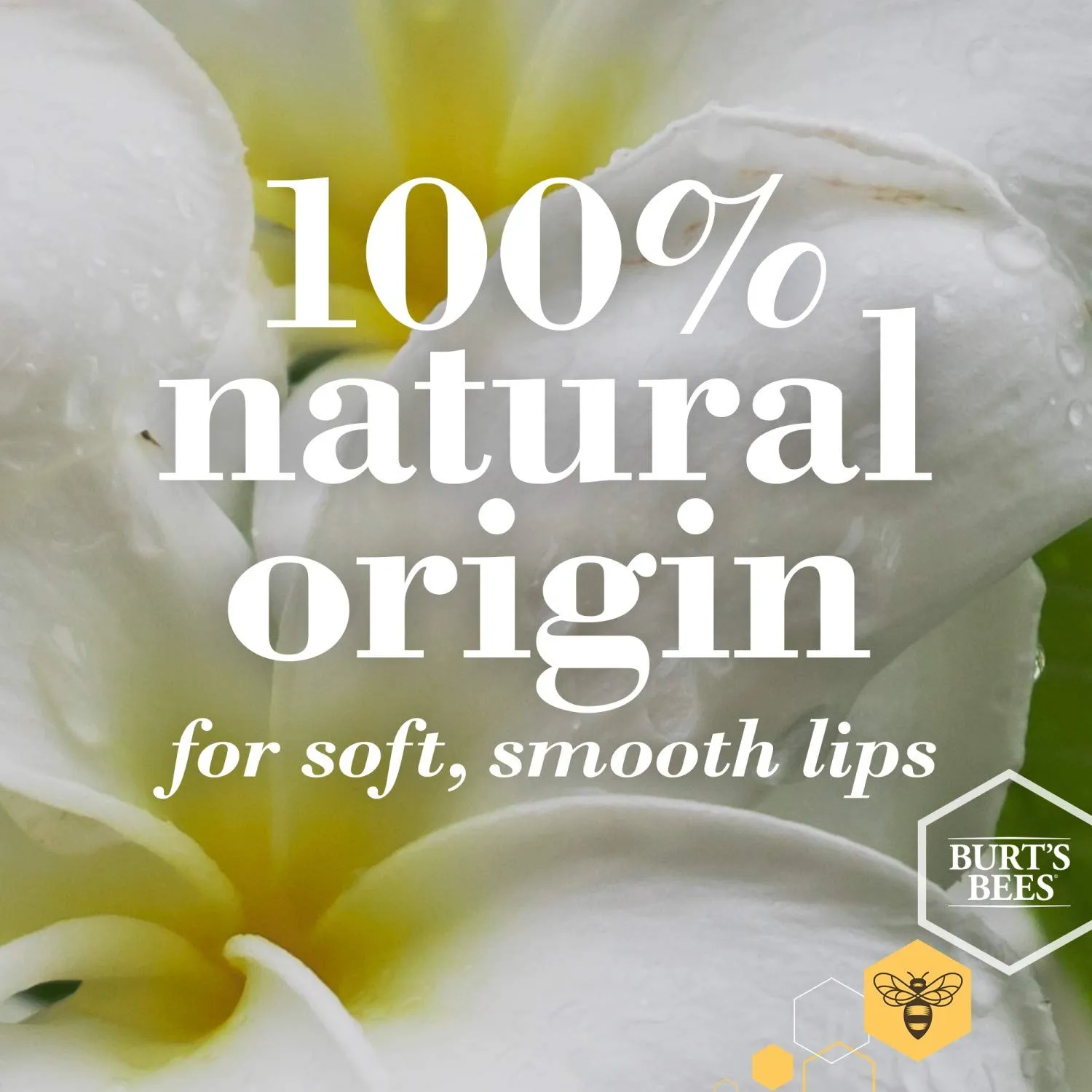 Burt's Bees 100% Natural Origin Squeezy Tinted Lip Balm, Berry Sorbet, 0.43 Ounce Squeeze Tube (Pack of 3)