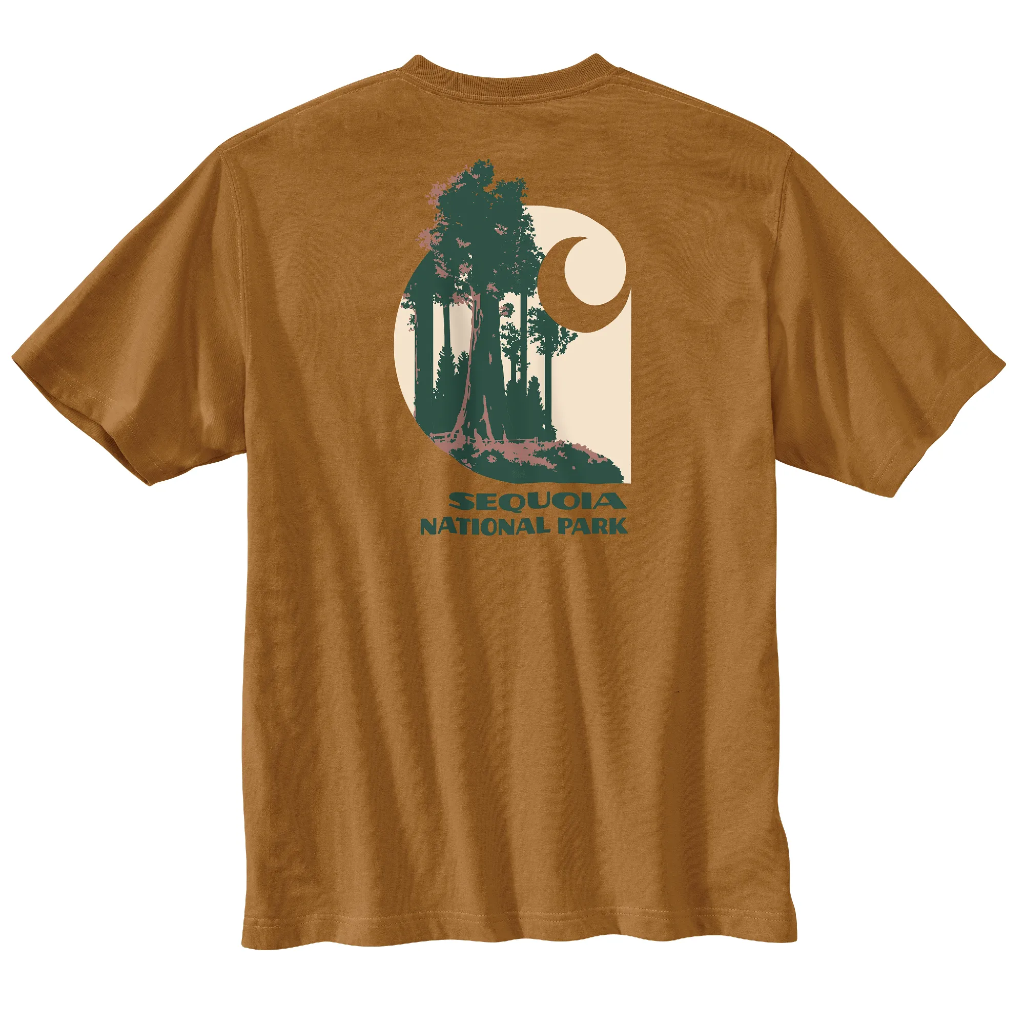 Men's Relaxed Fit Heavyweigh Short-Sleeve Sequoia National Park Graphic T-Shirt