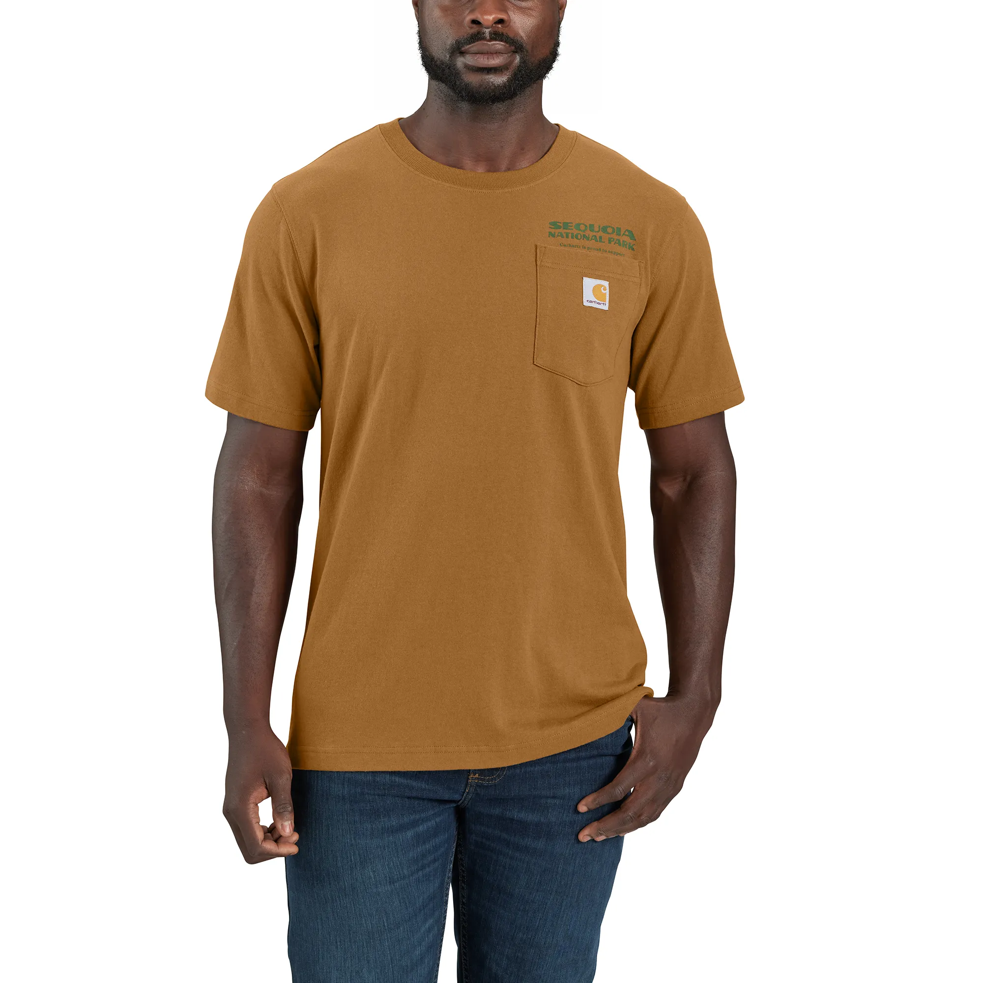 Men's Relaxed Fit Heavyweigh Short-Sleeve Sequoia National Park Graphic T-Shirt