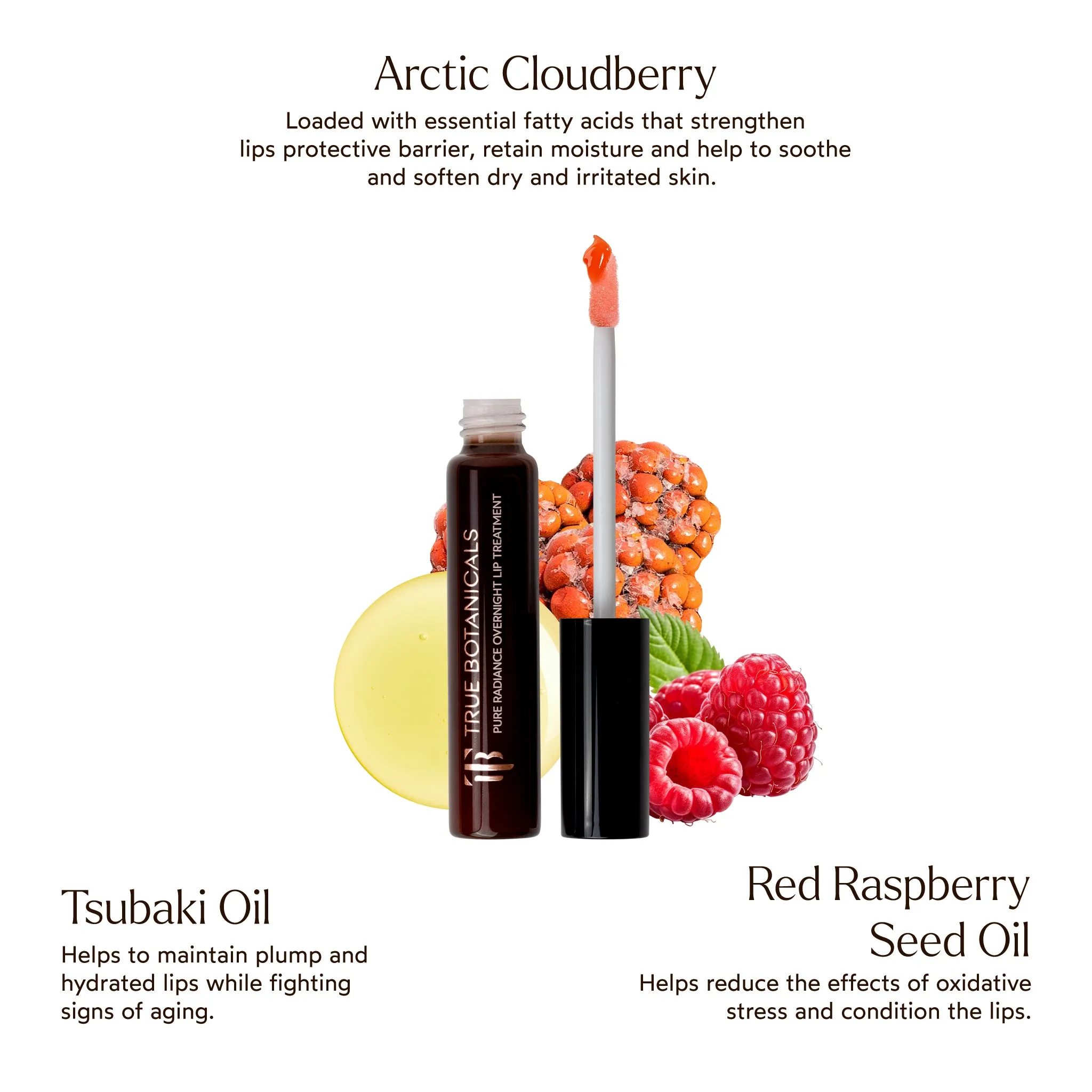 Pure Radiance Overnight Lip Treatment