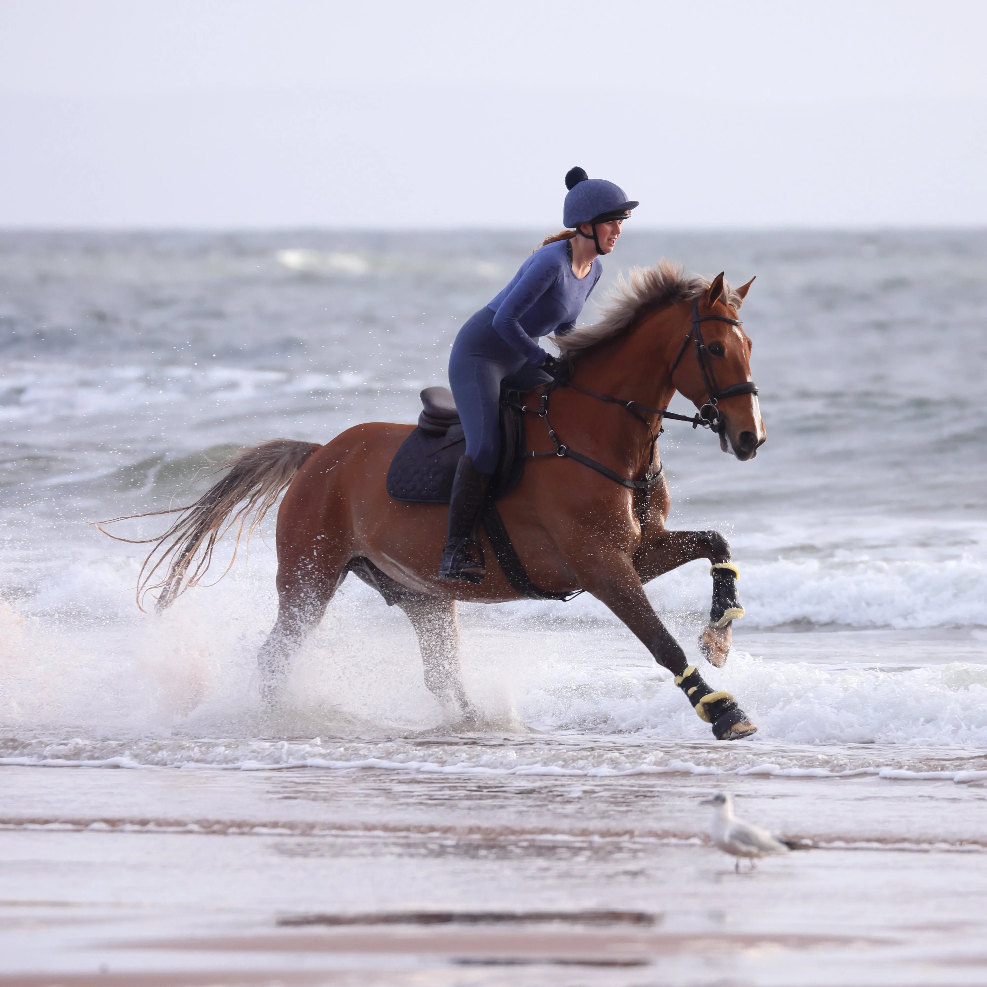 Shires Aubrion Revive Long Sleeve Base Layer