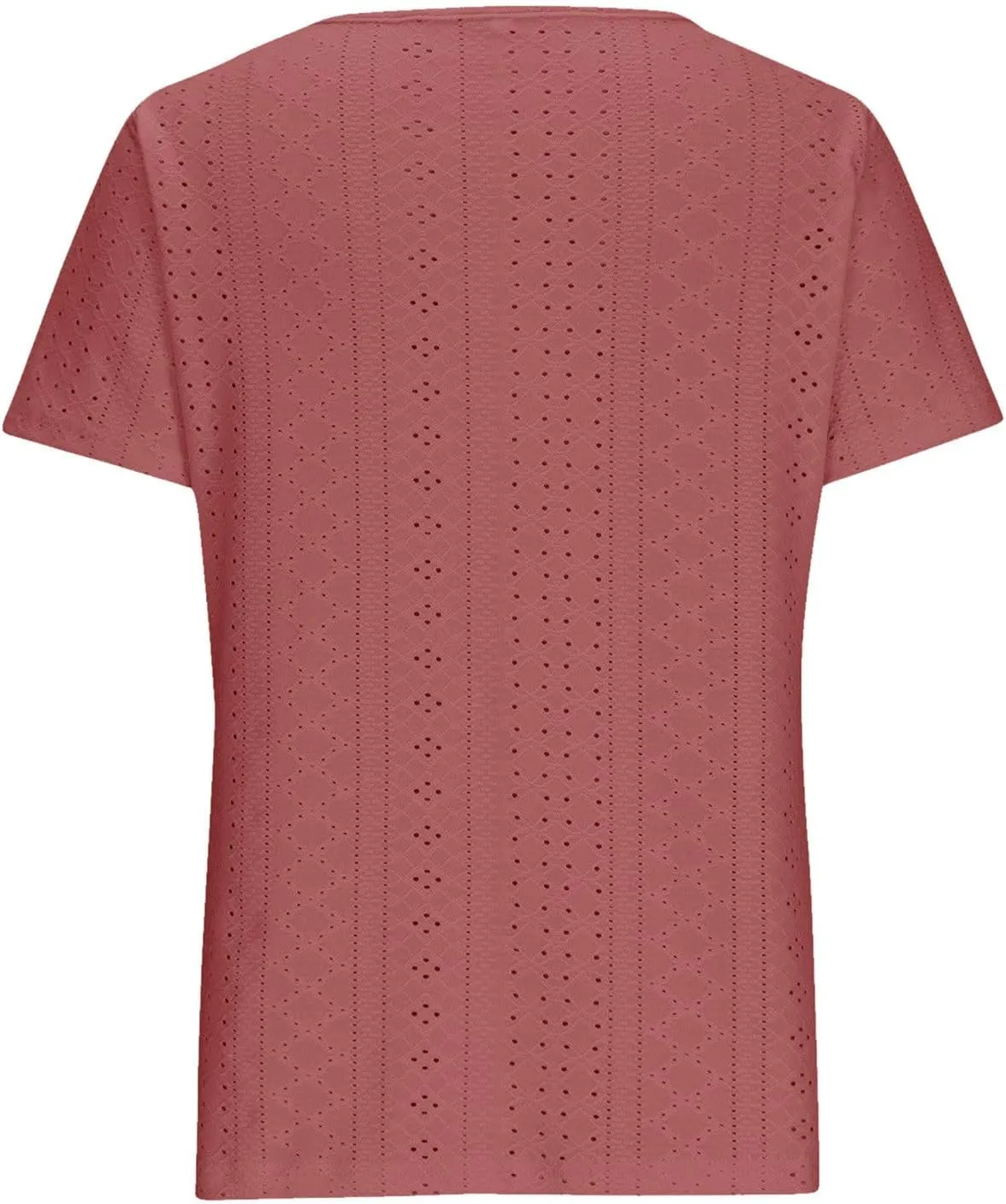 Short Sleeve Tops for Women Summer Tops Embroidery Hollow Scoop Neck T Shirts Plain Work Daily Dressy Casual Blouses