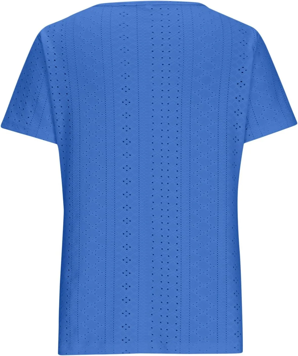 Short Sleeve Tops for Women Summer Tops Embroidery Hollow Scoop Neck T Shirts Plain Work Daily Dressy Casual Blouses