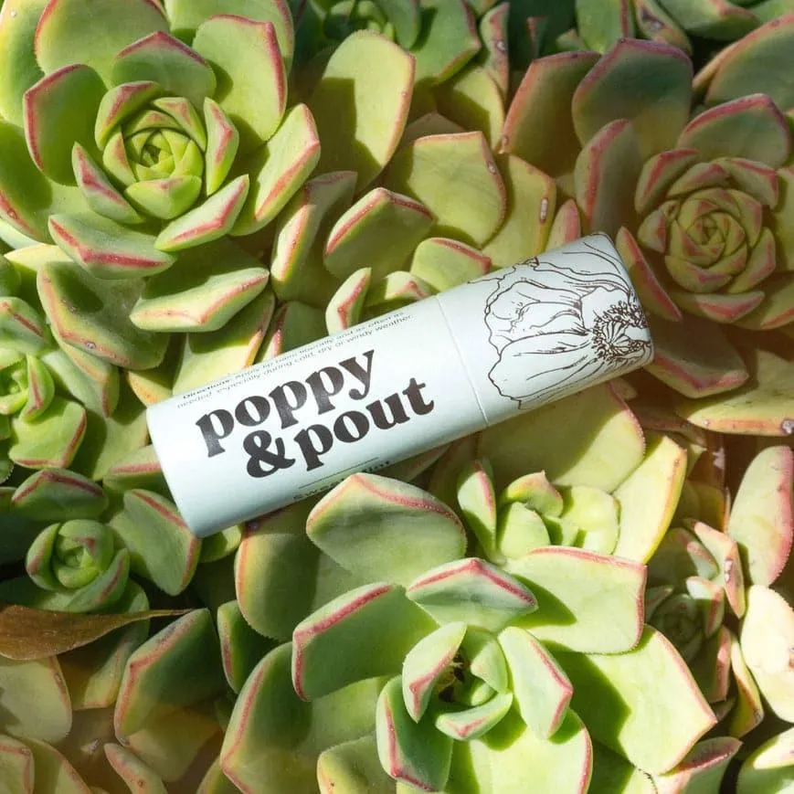 Sweet Mint Natural Lip Balm