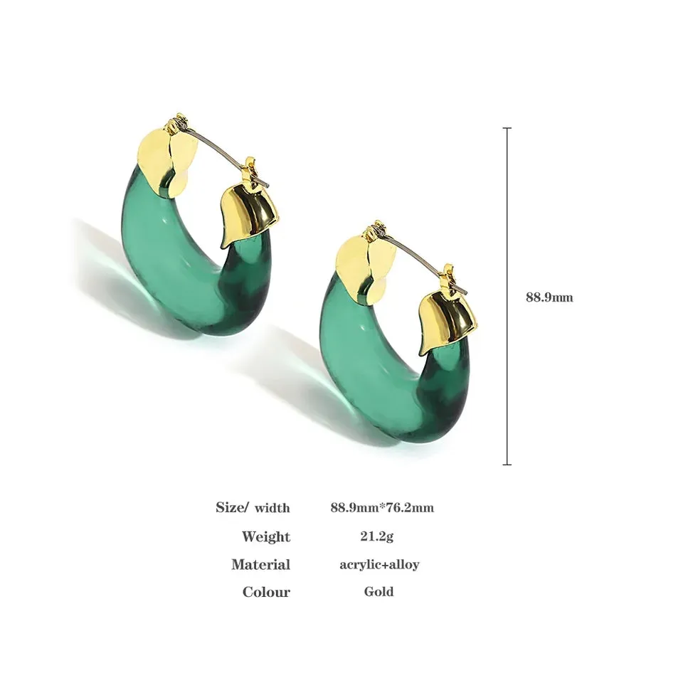 Transparent Acrylic Geometric Hoop Earrings-5