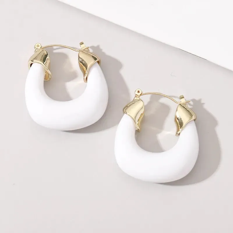Transparent Acrylic Geometric Hoop Earrings-5