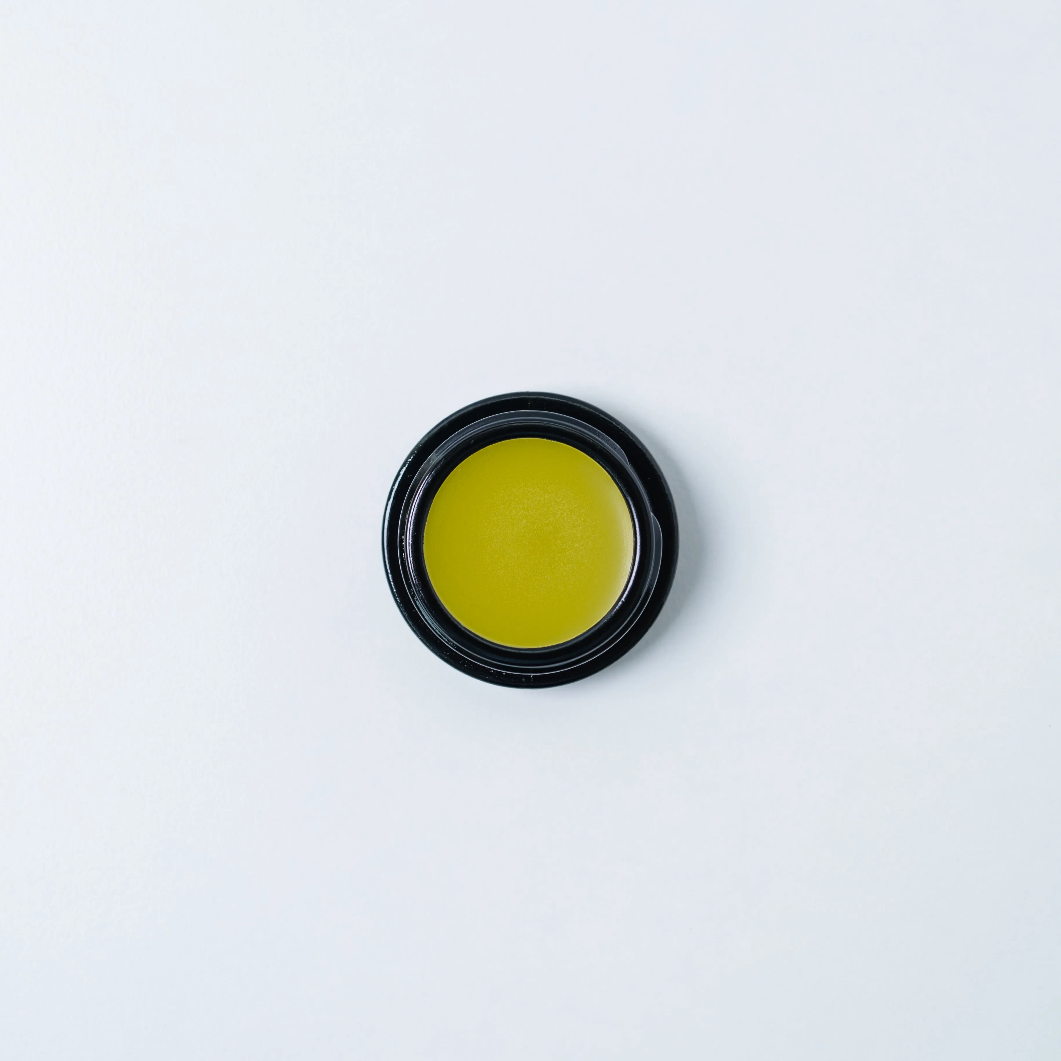 Tulsi Tallow Lip Balm