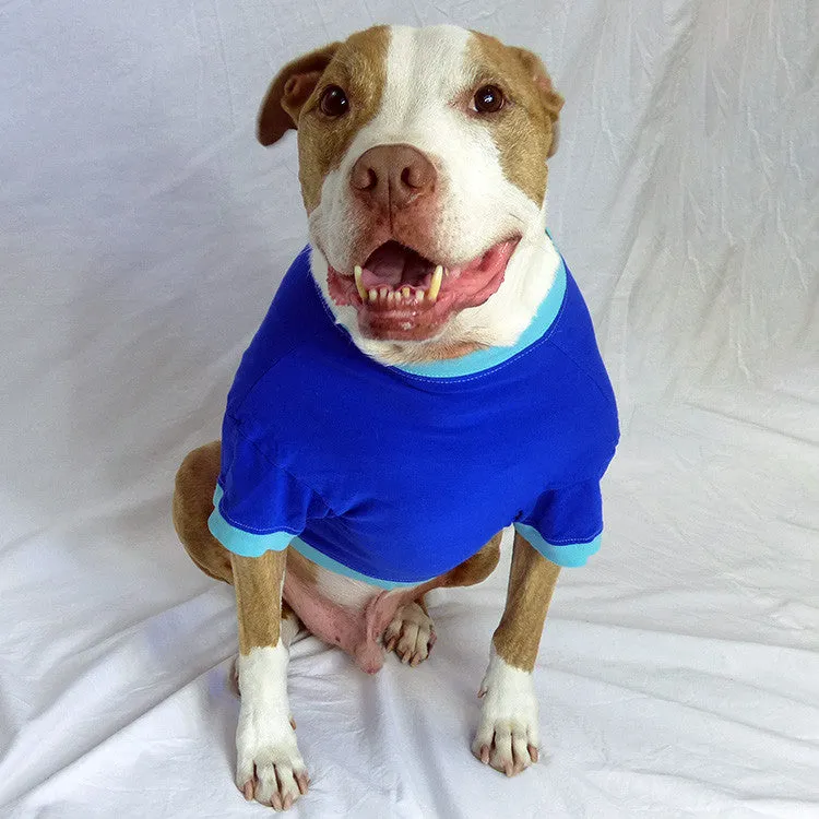 Your Dog's Favorite T-shirt