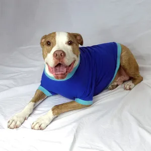 Your Dog's Favorite T-shirt