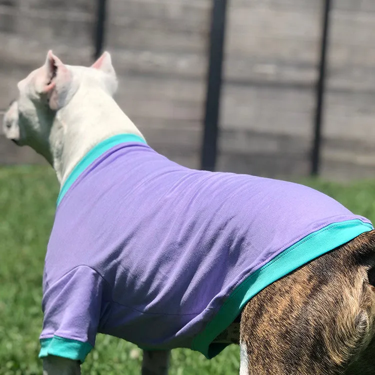 Your Dog's Favorite T-shirt