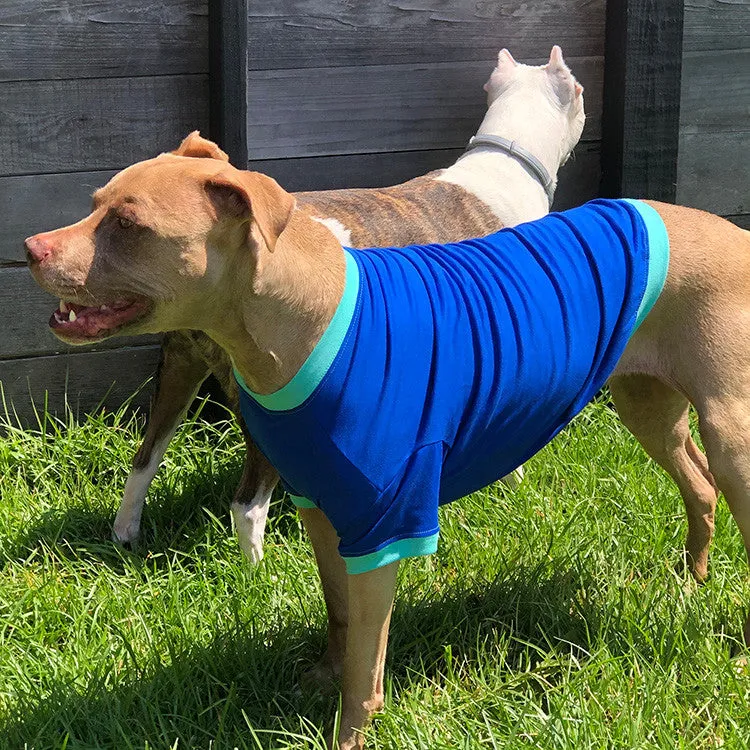 Your Dog's Favorite T-shirt